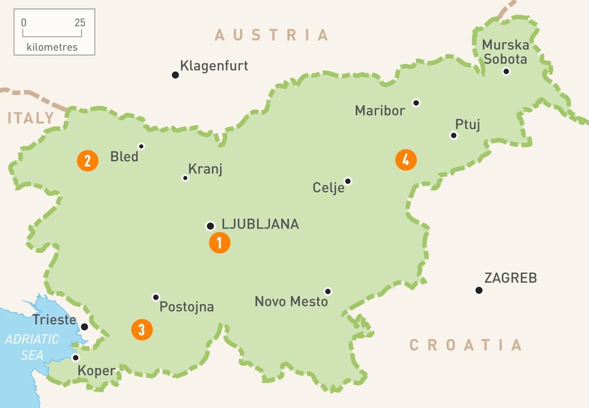 Slovenya haritası bölgeler