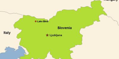 Ljubljana Slovenya haritası 