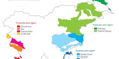 Slovenya şarap göster 
